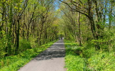 Accessible Trails – Lisseycasey