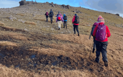 Summit Steps Programme