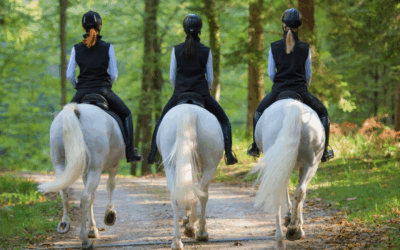 Teen Girls Beginner Horse Riding